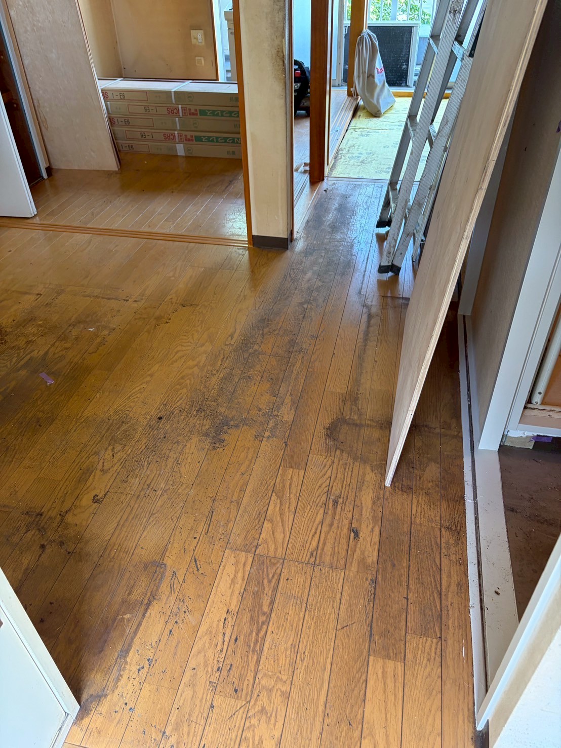 フローリング張替え before